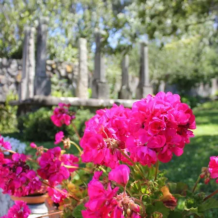 Casa Do Nato -turismo Rural Фермерский дом Виана-ду-Каштелу