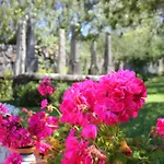 Casa Do Nato -turismo Rural בית חווה ויאנה דו קסטלו