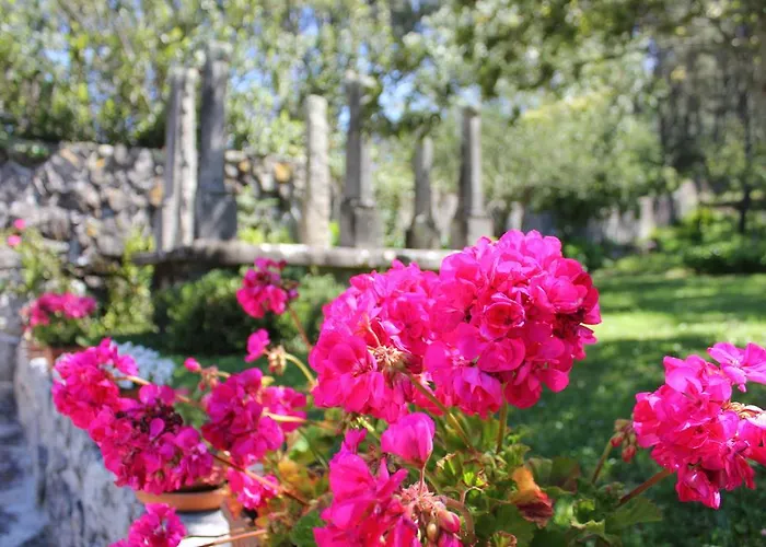 Casa Do Nato -turismo Rural 팜스테이 비아나도카스텔로