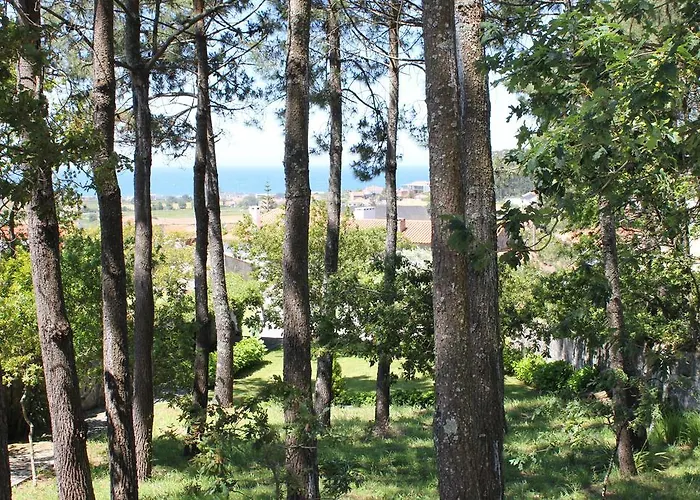 Casa Do Nato -turismo Rural 비아나도카스텔로